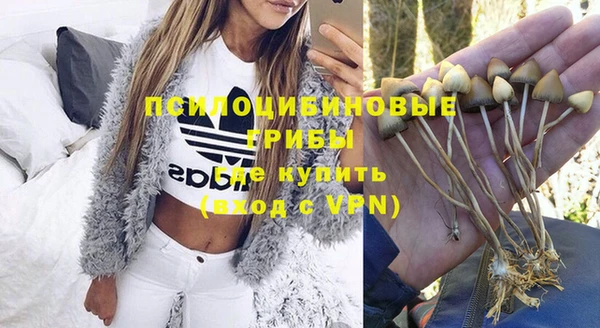 индика Алексеевка